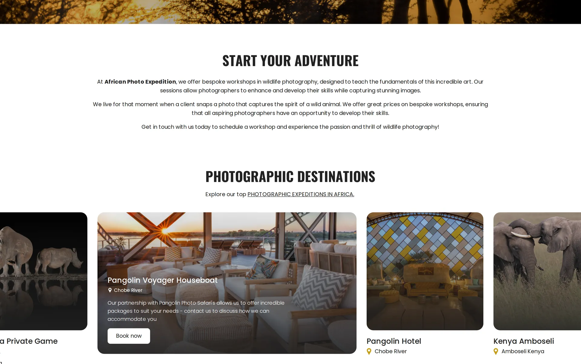 African Photo Expeditions website design detail