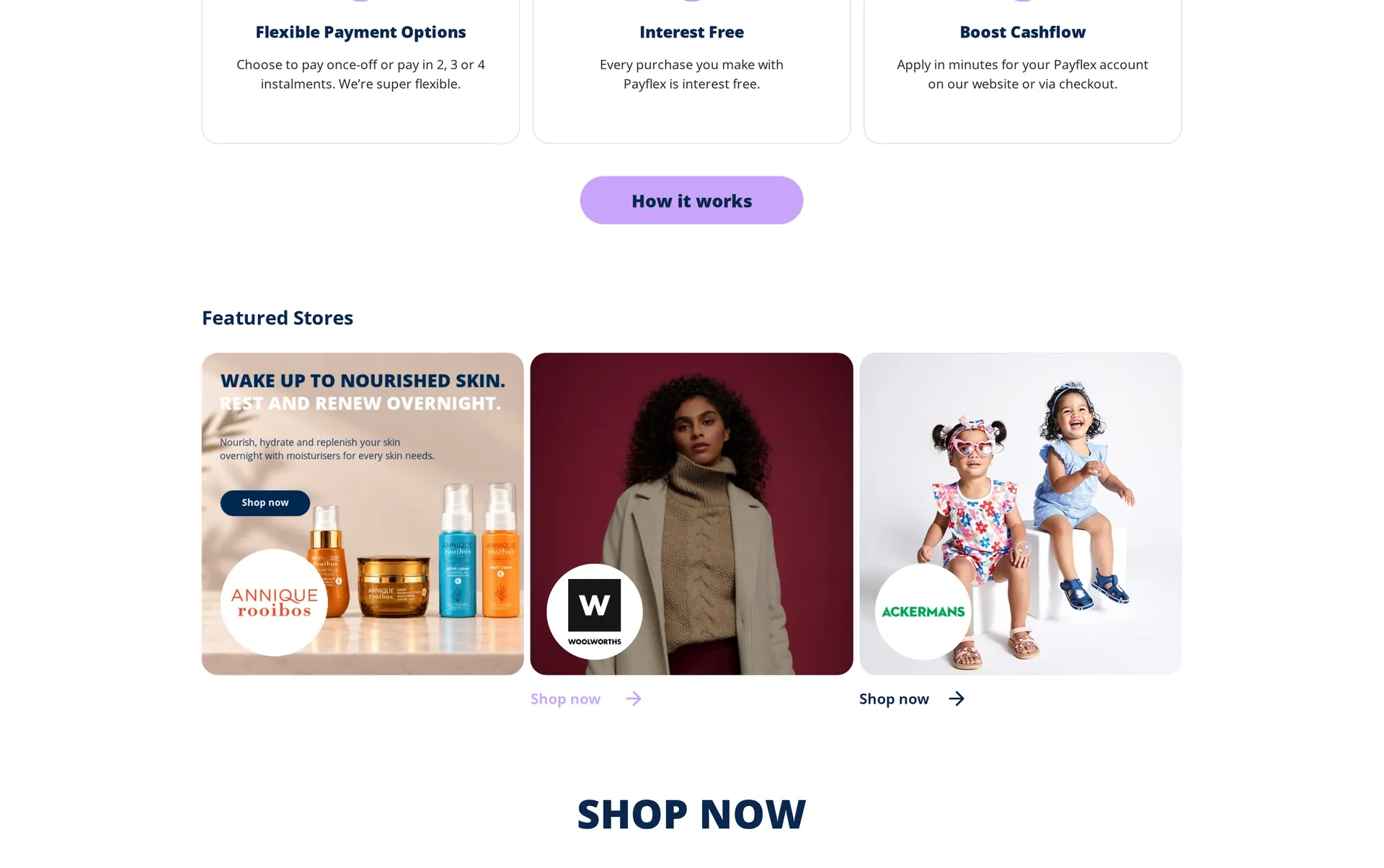 Payflex website design detail